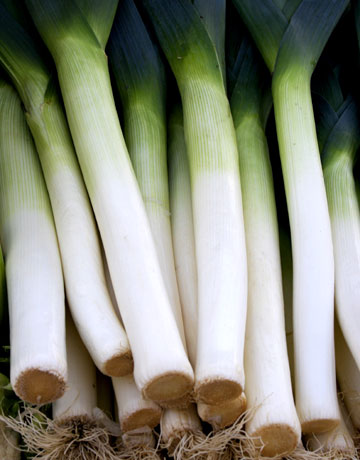the history of Leeks the history of Leeks
